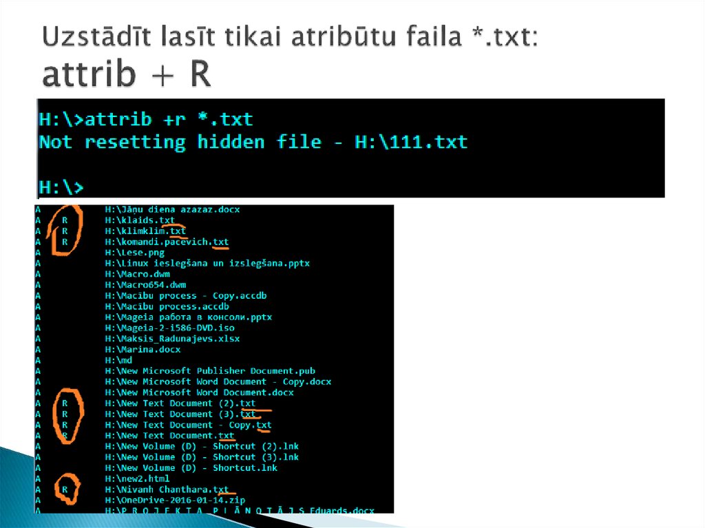 Uzstādīt lasīt tikai atribūtu faila *.txt: attrib + R
