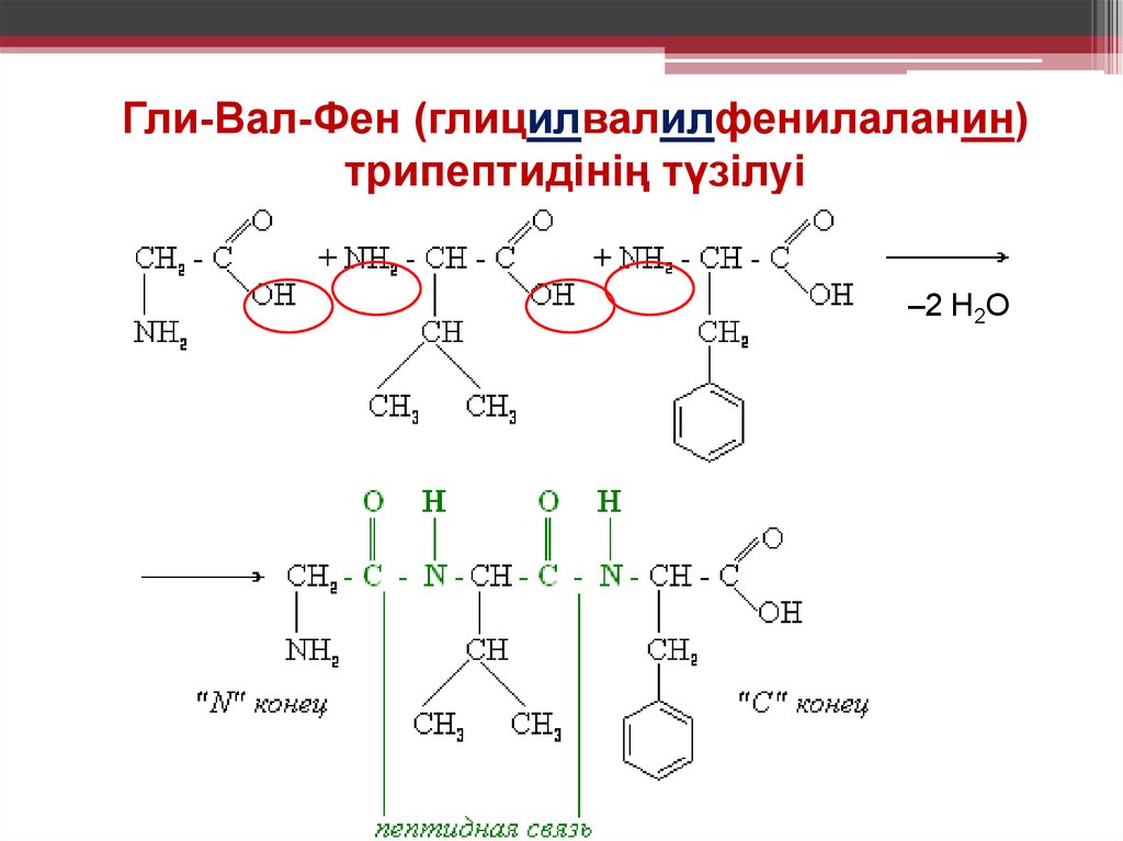 Гли ала. Вал фен лей трипептид. Глицилвалилфенилаланин. Гли вал. Гли-фен образование.