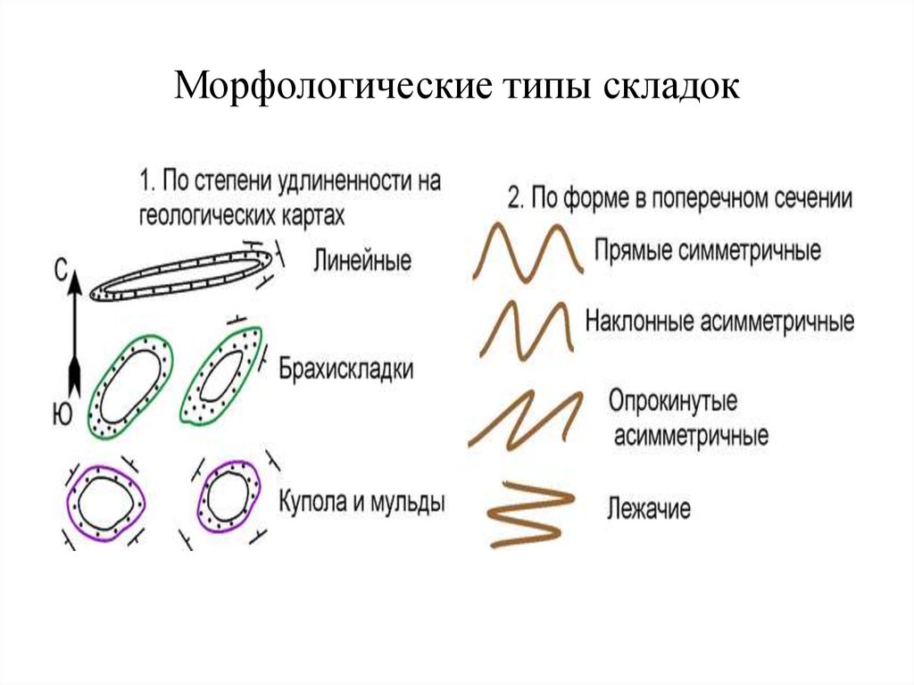 Виды складок. Классификация складок по наклону осевой поверхности. Типы складок по форме замка. Морфологическая классификация складок. Классификация складок Геология.