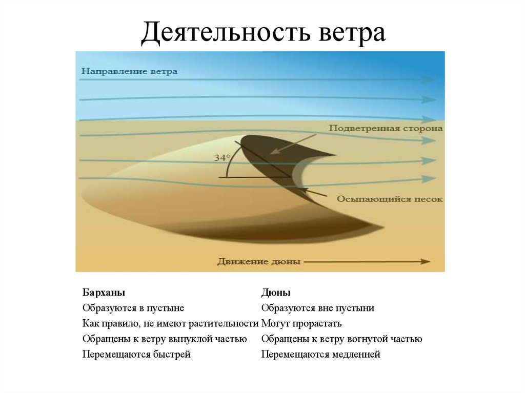 Роль ветра. Деятельность ветра. Геологическая деятельность ветра. Геологическая деятельность ветра эоловые процессы. Деогическая деятельность Вестра.