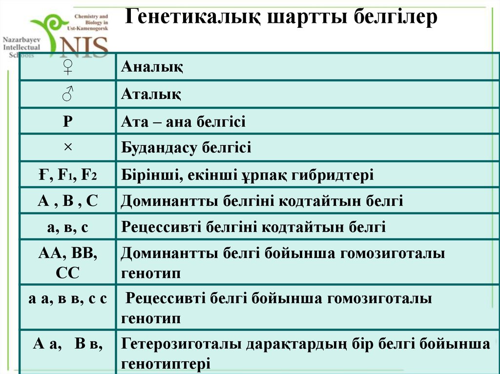 Моногибридті будандастыру - презентация онлайн