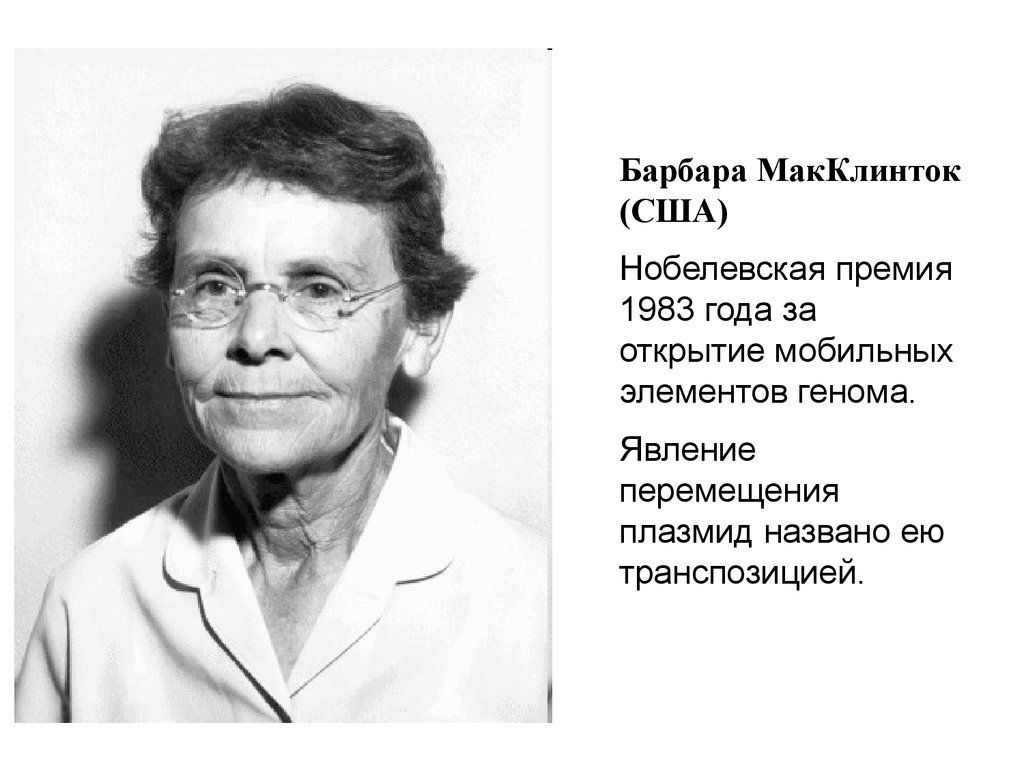 Эван макклинток