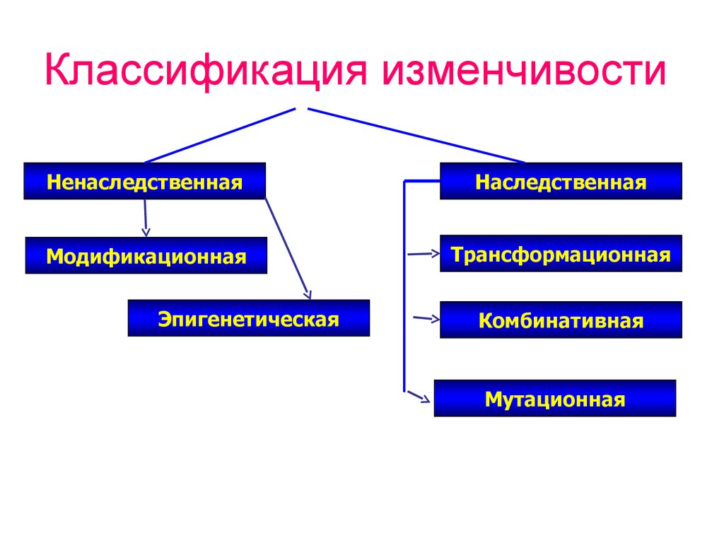 Наследственное и ненаследственное изменение