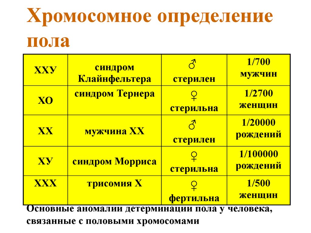 Определение пола человека происходит