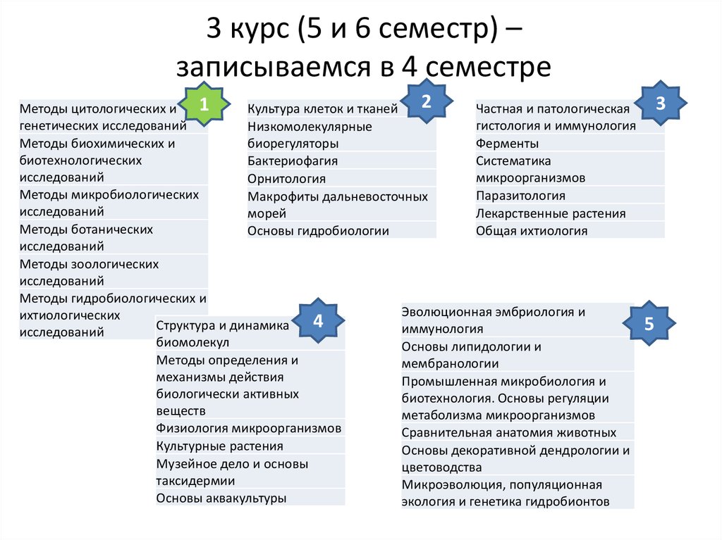 Исследования курсы