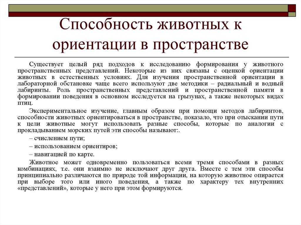 Исследованию ориентации. RFR ;bdjnyst jhbtynbhe.NCZ D Ghjcnhfycndt. Как разные животные ориентируются в пространстве доклад. Способы ориентации животных в пространстве. Ориентация животных в пространстве доклад.