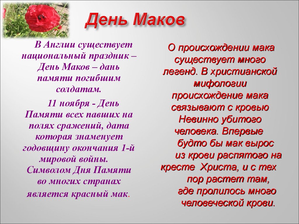 День маков. Маковый день праздник. Живое пламя стихотворение. День маков в России. День мака праздник когда.