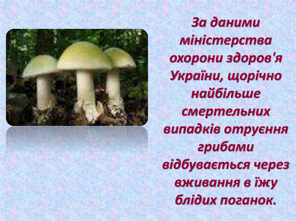 За даними міністерства охорони здоров'я України, щорічно найбільше смертельних випадків отруєння грибами відбувається через вживання в ї
