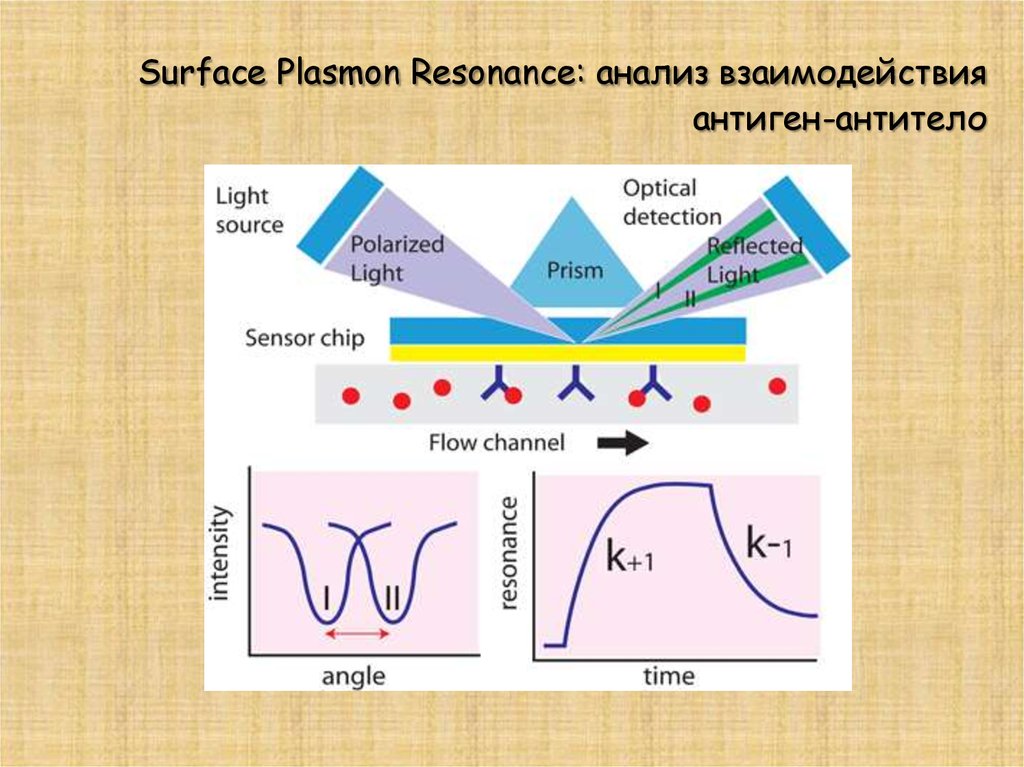 Плазмон. Плазмонный резонанс. Поверхностный плазмонный резонанс. Плазмонный резонанс SPR. Поверхностный плазмонный резонанс наночастицы.