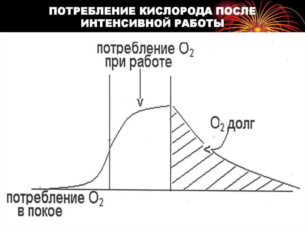 Потребность кислорода. Потребление кислорода человеком схема. Потребление кислорода при мышечной деятельности. Потребление кислорода рыбой. Потребление кислорода в покое.