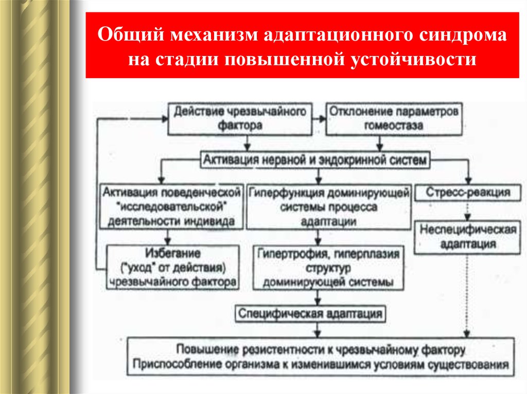 Схема патогенеза стресса