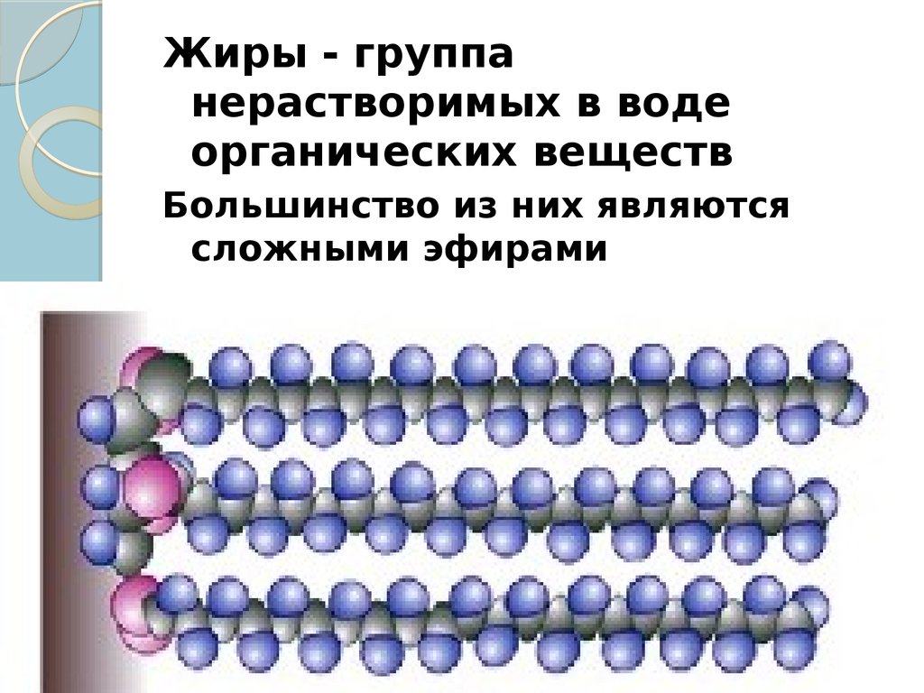 Большинство органических веществ являются. Органические вещества липиды. Органические вещества клетки. Органические вещества клетки углеводы липиды. Органические соединения клетки.