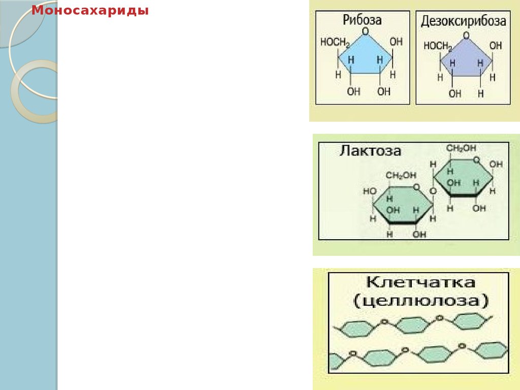 Вещества биологии 10 класс. Презентация органические вещества клетки 10 класс биология. Органические соединения биология 10 класс. Органические вещества биология 10 класс. Органические вещества клетки 10 класс.