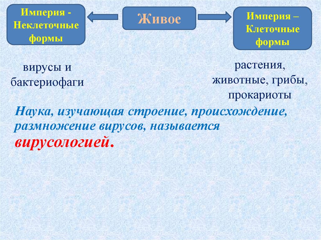 Империя клеточные. Империя клеточные и неклеточные. Клеточные и неклеточные формы. Формы вирусов. Неклеточные формы жизни изучает наука.