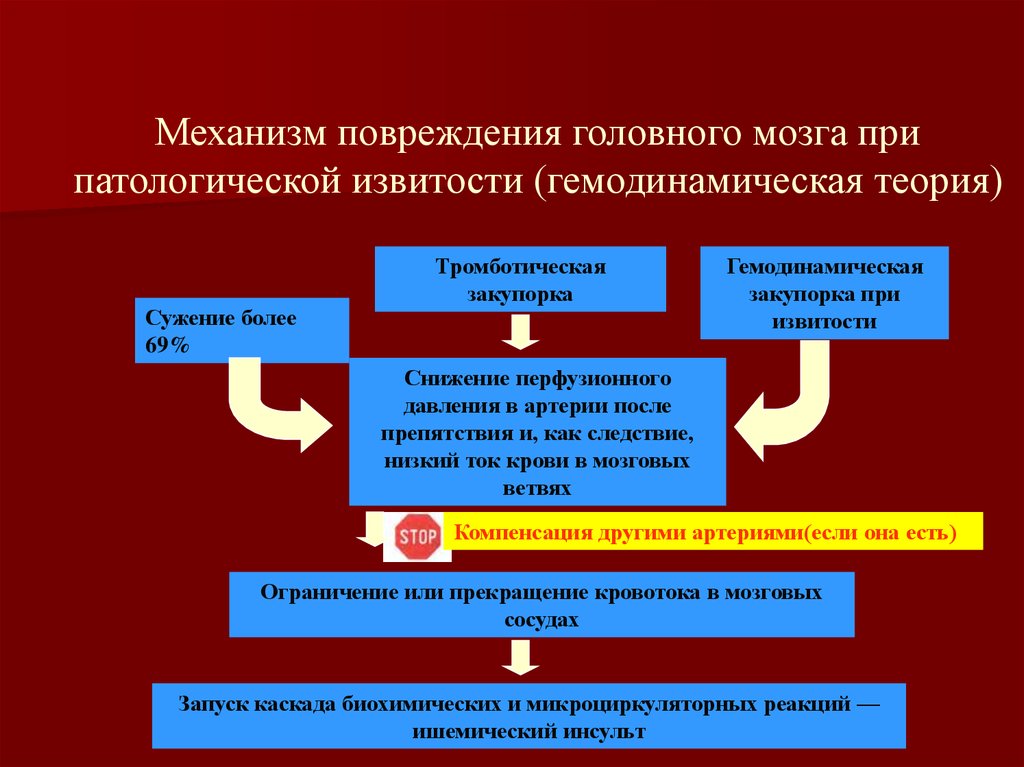 Механизм повреждения. Разрыв механизм повреждения. Гемодинамическая теория. Механизм перфузионного повреждения.