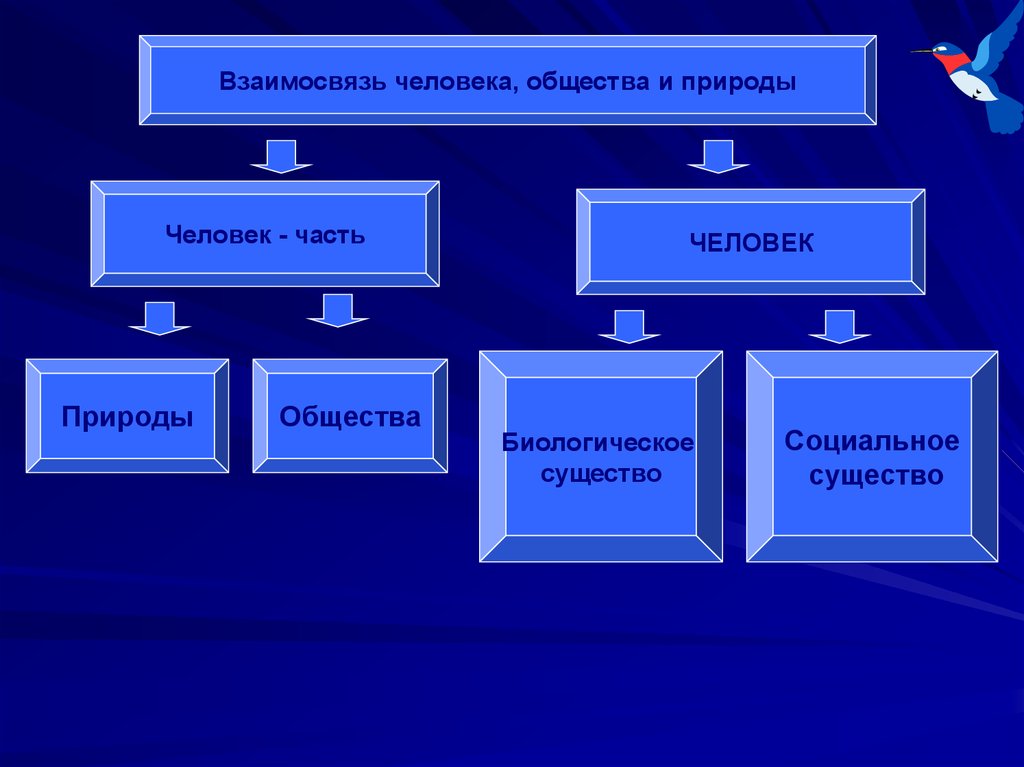 Человек часть общества человек часть природы