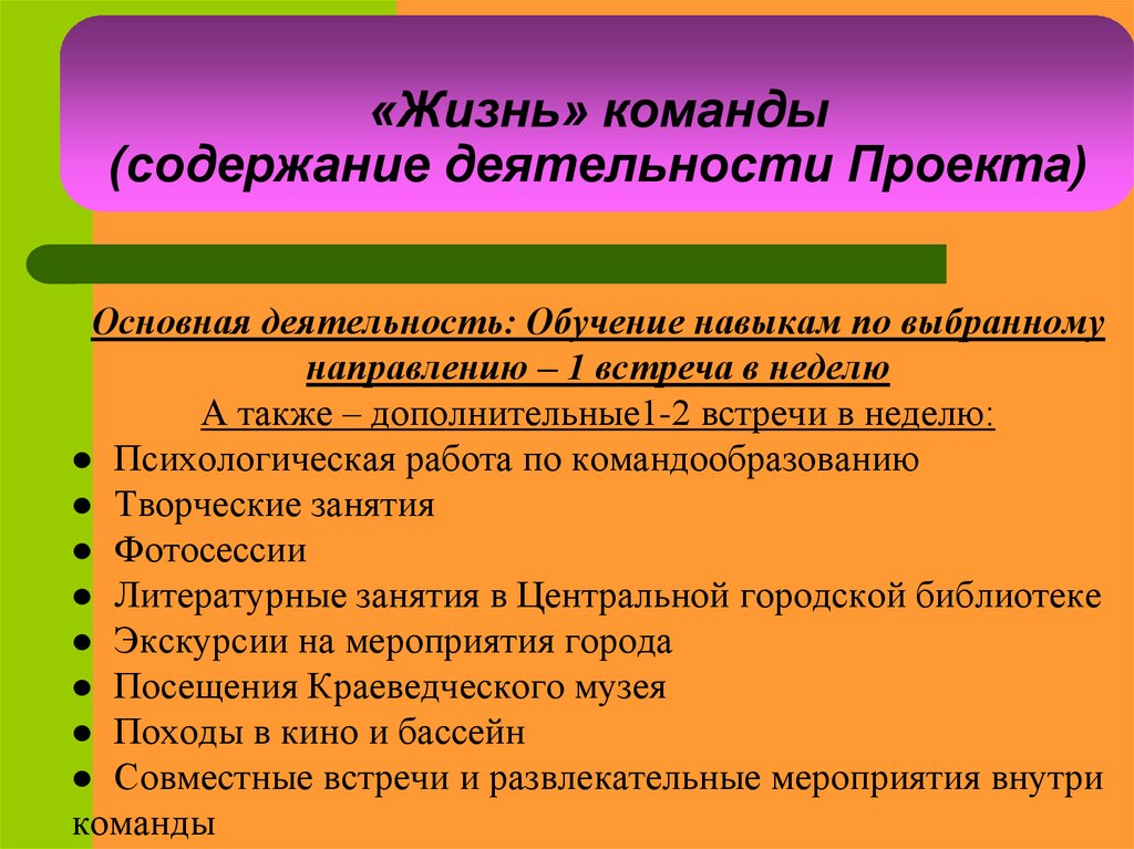 Содержит команды. Содержание деятельности проекта. Масштаб социального проекта. Ключевая деятельность проекта.