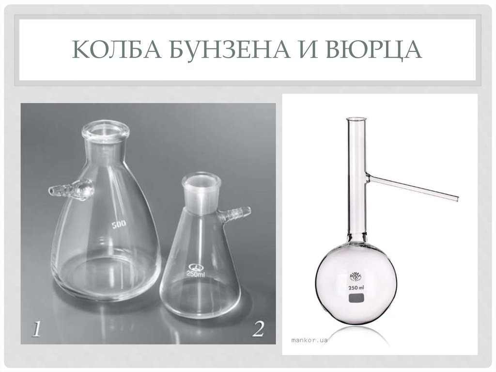 Колба вюрца рисунок