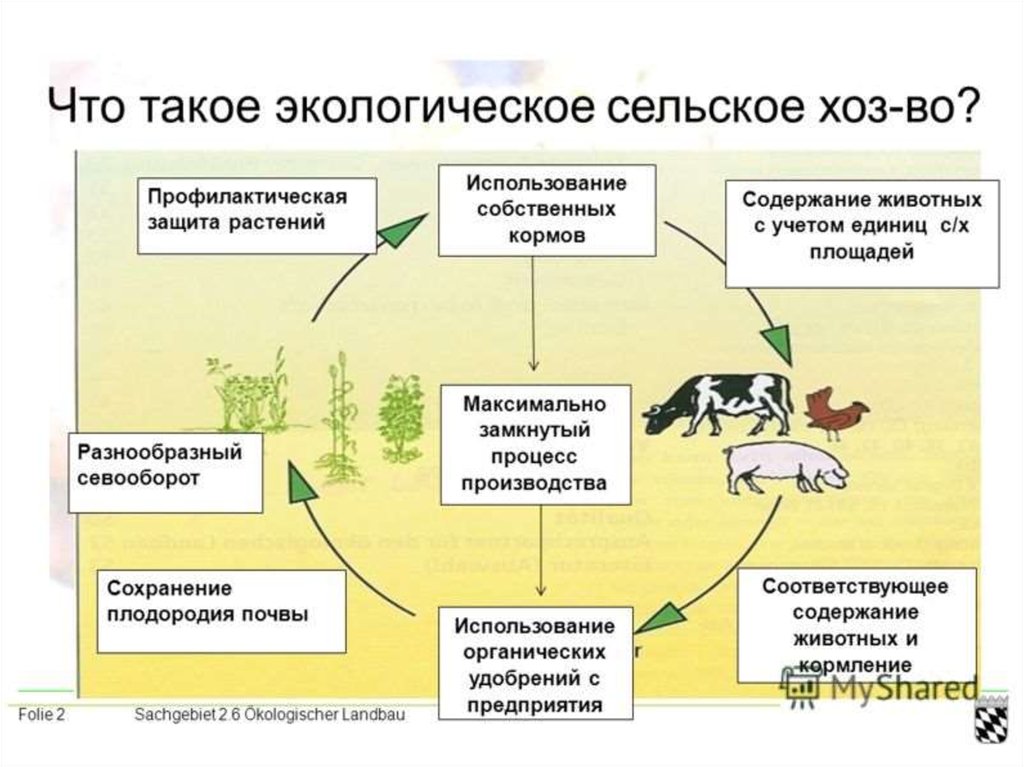 Основная проблема земледелия. Влияние сельского хозяйства на окружающую среду. Экологические процессы. Влияние животноводства на окружающую среду. Экологическое сельское хозяйство.