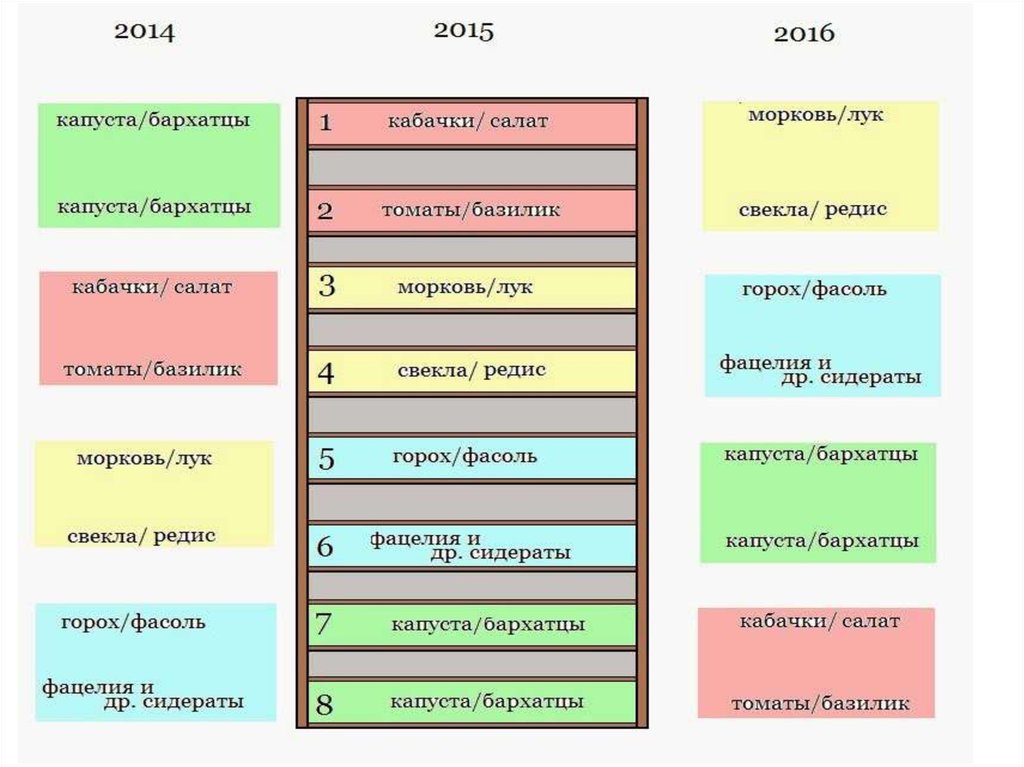 Схема севооборота столовой свеклы