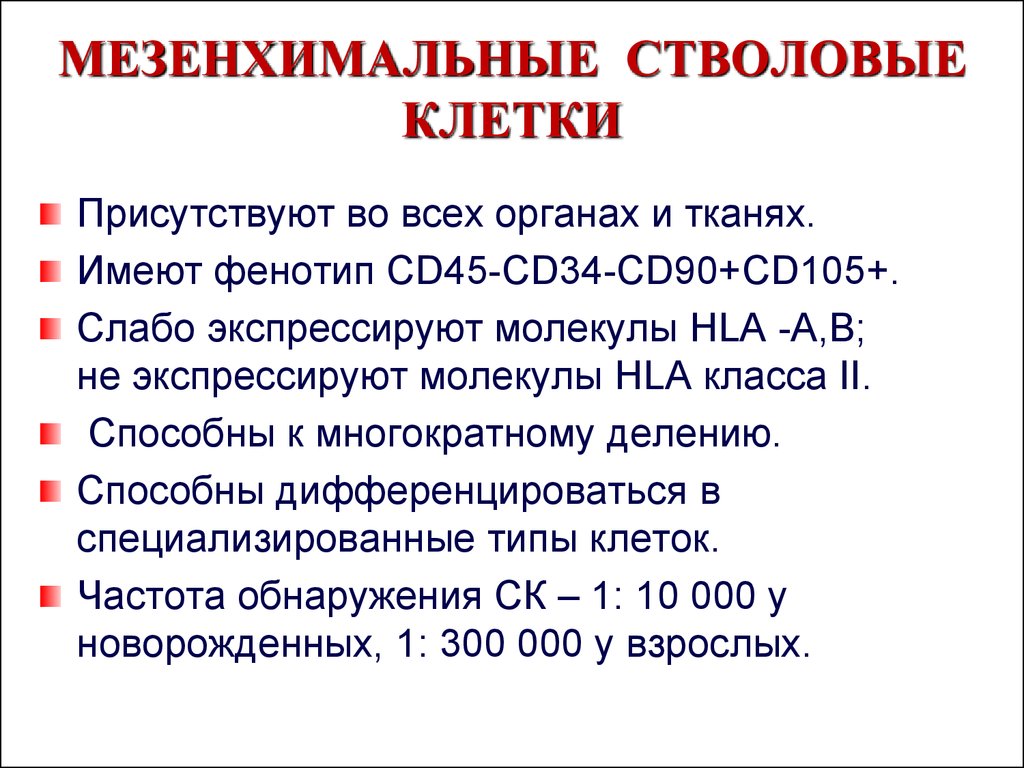 Мезенхимальные стволовые клетки. Мезенхимная стволовая клетка фенотип. Мезенхимальные стволовые клетки костного мозга. Мезенхимные стволовые клетки клеточная терапия.