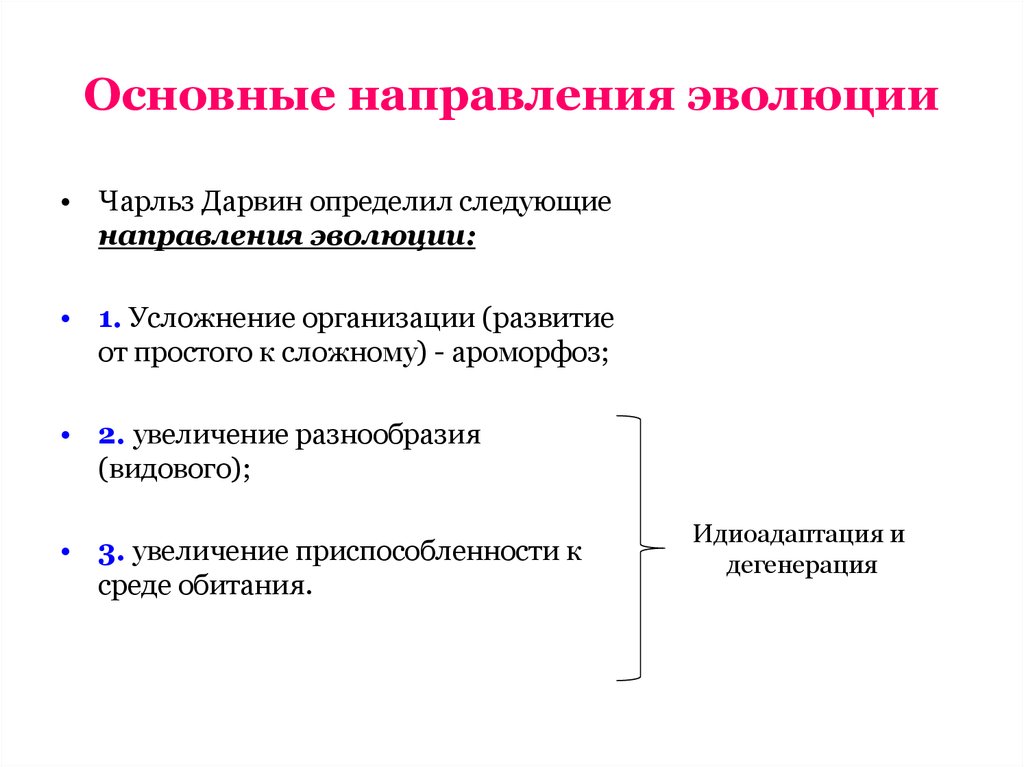 Основные направления эволюции презентация