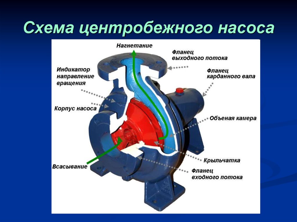 Центробежный насос на схеме