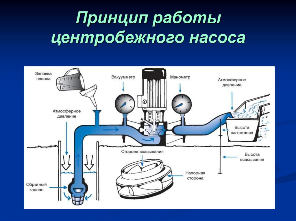 Основные принципы вода. Центробежный водяной насос принцип работы. Центробежный насос для воды устройство и принцип работы. Принцип работы центробежной водяной помпы. Как устроен центробежный насос.