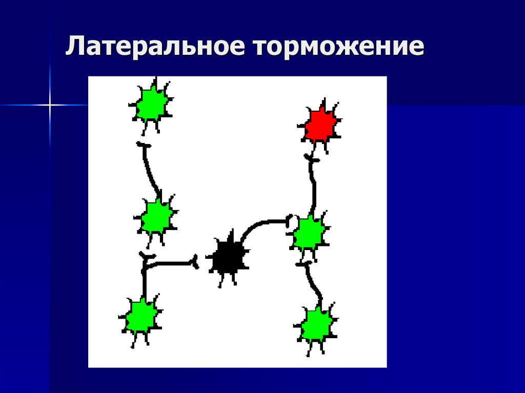 Латеральное торможение схема