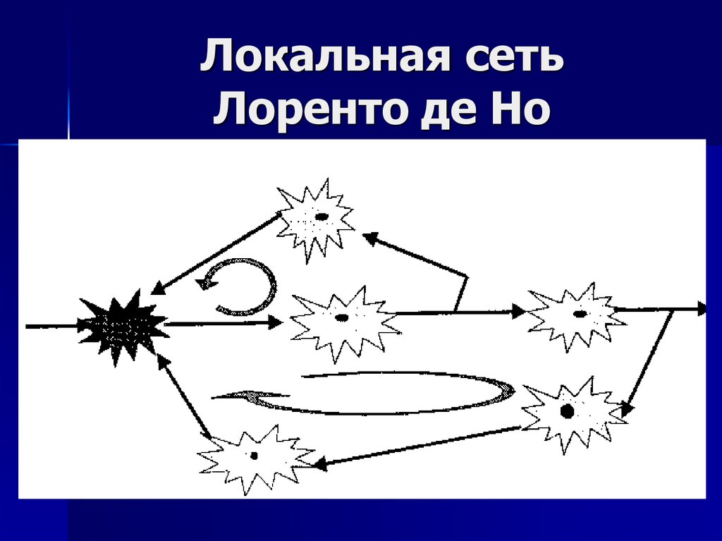 Локальная сеть Лоренто де Но