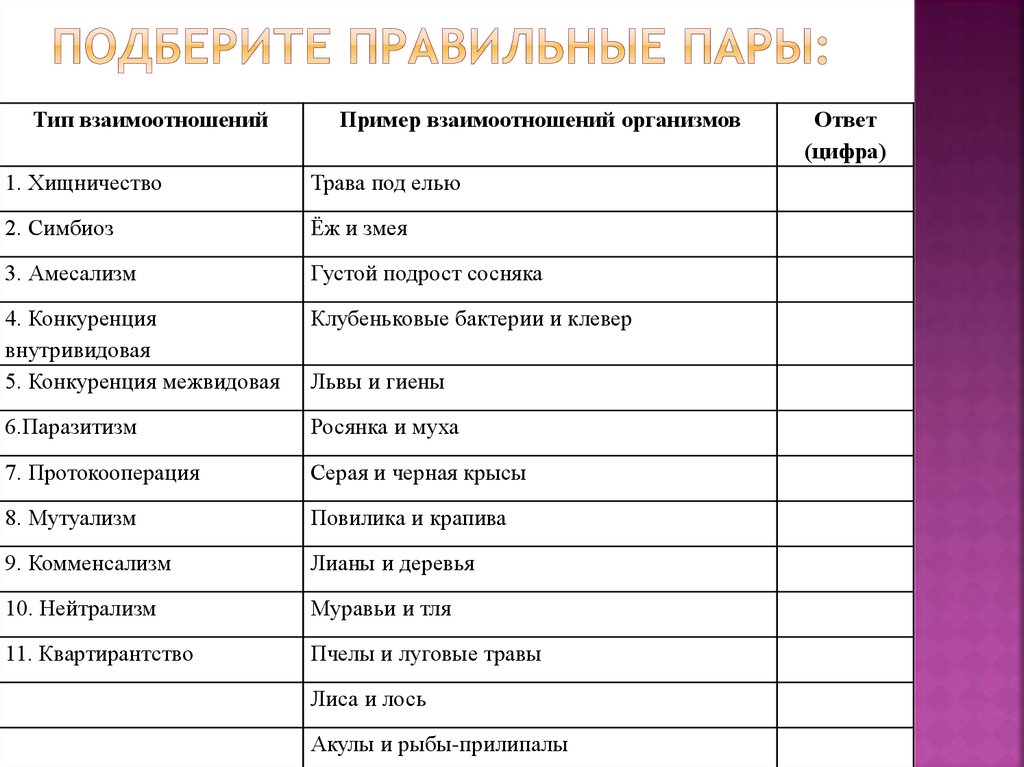 Выберите правильные пары