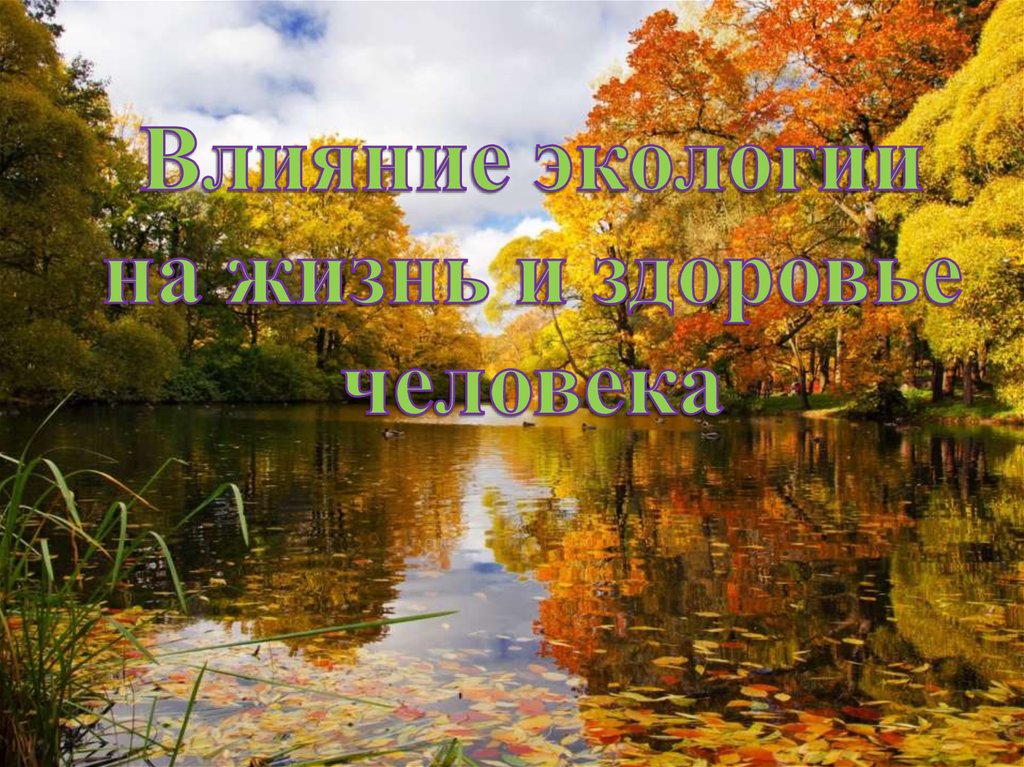 Влияние экологии на жизнь и здоровье человека