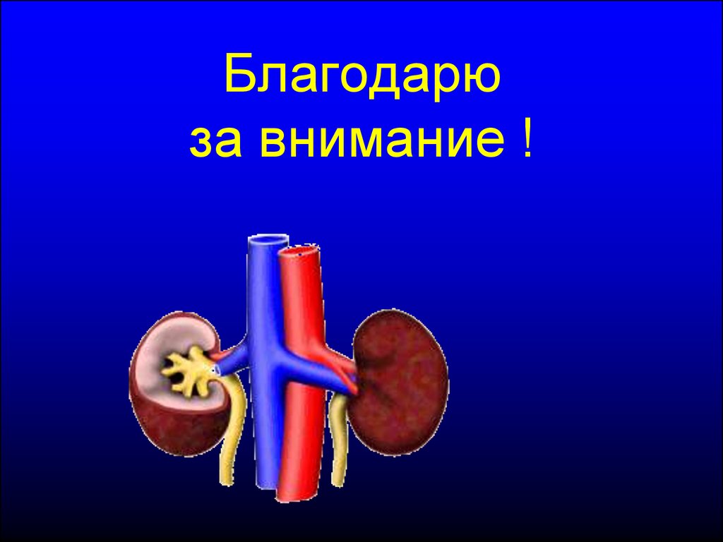 Презентация на тему внимание по анатомии