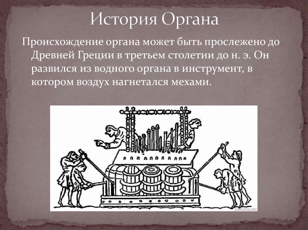 Краткая история появления. История органа. Рассказ об органе. История появления органа. Информация о происхождении органа.