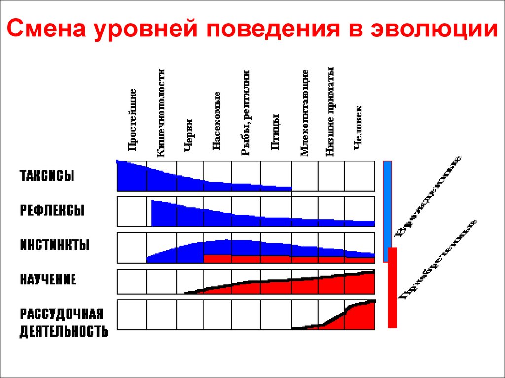 Поведение уровни поведения. Уровни поведения. Уровни поведения человека. Таблица уровни поведения. Поведенческий уровень.