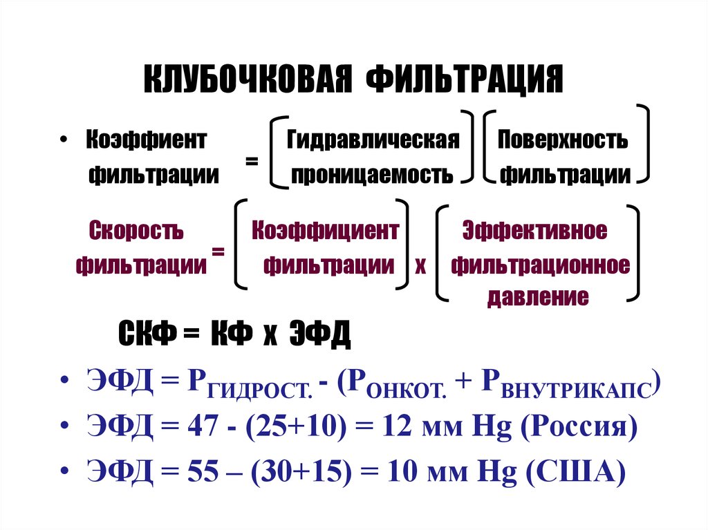 Клубочковая фильтрация это