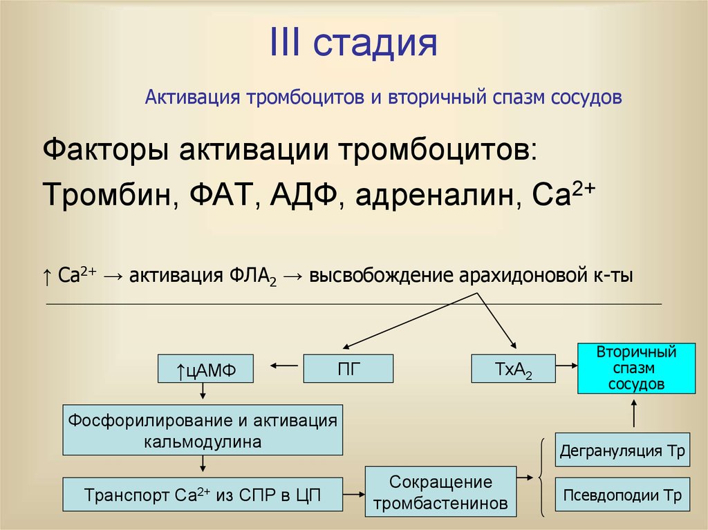 Активация тромбоцитов схема