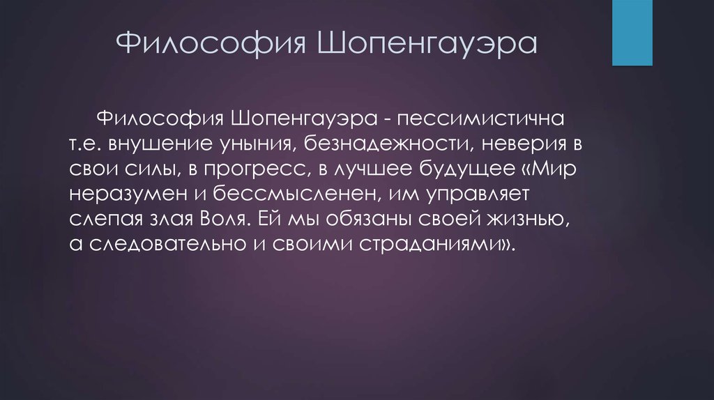 Шопенгауэр философия. Философская позиция Шопенгауэра. Философские взгляды Шопенгауэра. Философия страдания Шопенгауэра.