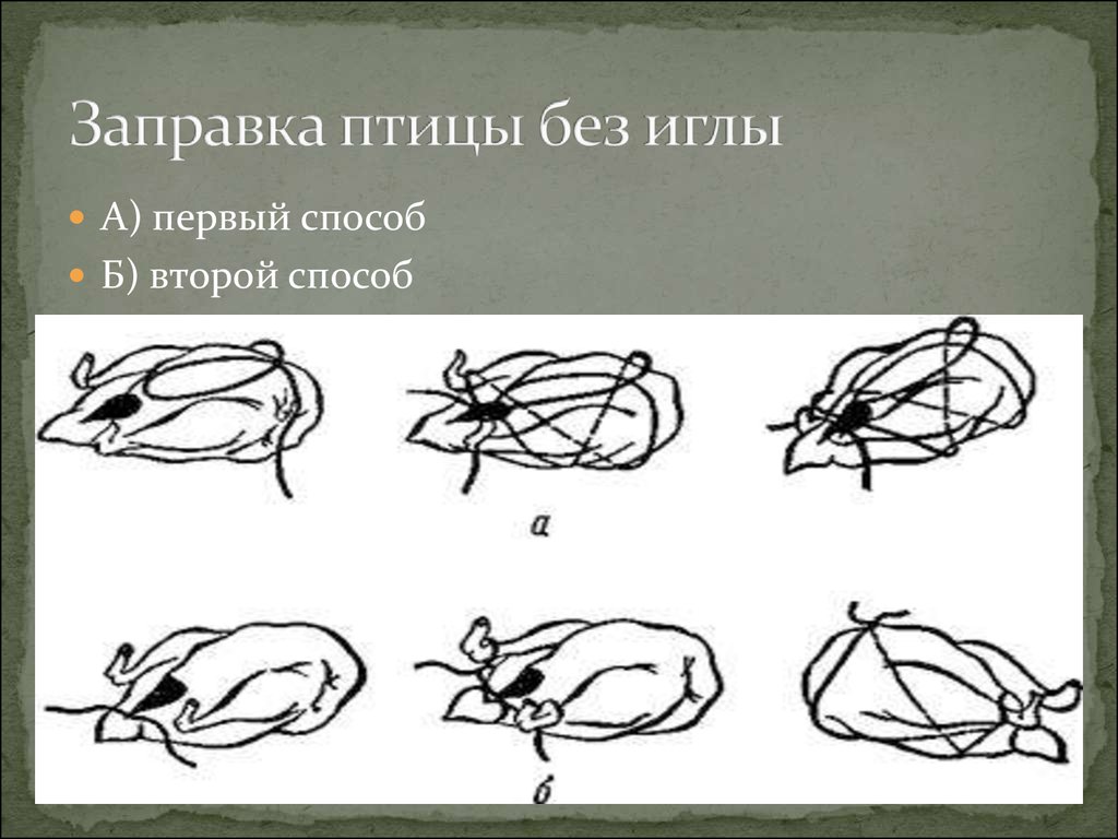 Второй способ. Заправка птицы без иглы а первый способ б второй способ. Способы заправки птицы и дичи.