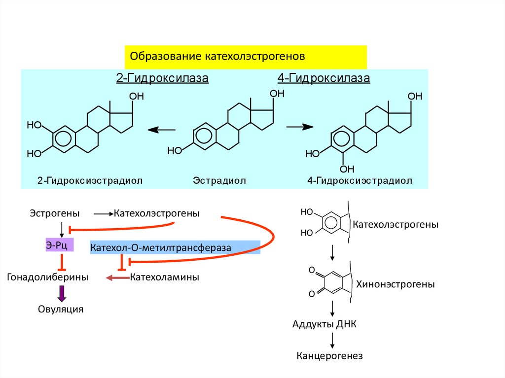 Производные аминокислот