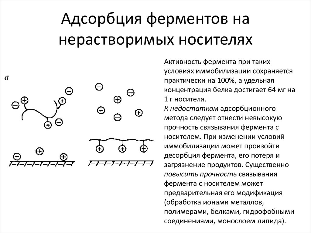 4 адсорбция