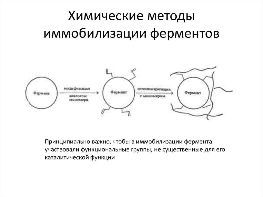 Химия способ. Иммобилизированные ферменты способы иммобилизации. Химические методы иммобилизации. Химические способы иммобилизации ферментов. Химический метод иммобилизации ферментов.