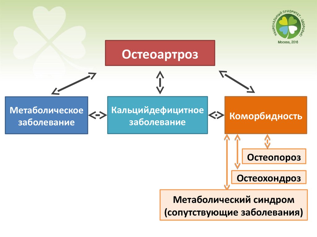 Патогенез остеоартроза презентация