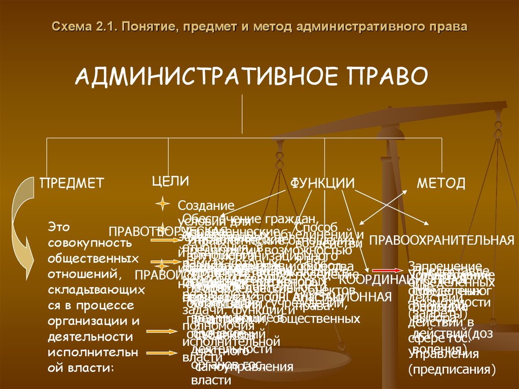 Административное право имеет один источник