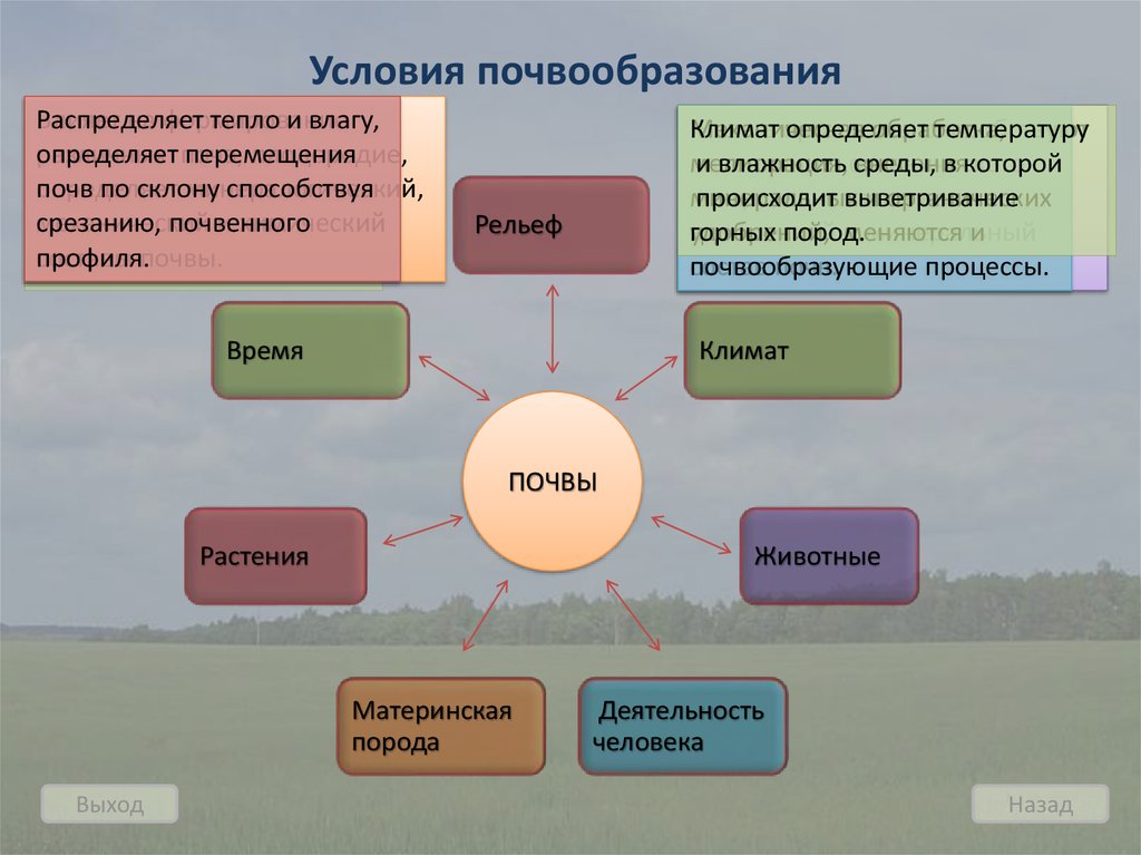 Край условие. Условия ПОСВО образования. Факторы почвообразования. Процесс почвообразования. Факторы почвообразования схема.