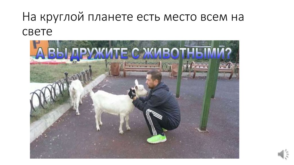 На круглой планете есть место всем на свете