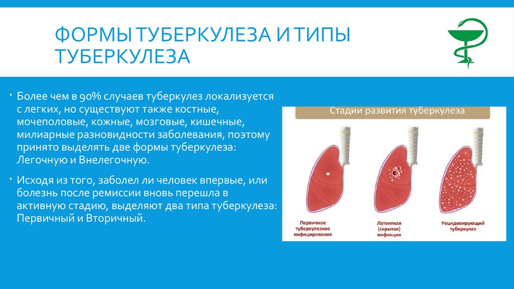 К каким инфекциям относится туберкулез. Формы туберкулёза лёгких. Туберкулез презентация. Форма воспаления туберкулеза. Легочные формы туберкулеза.