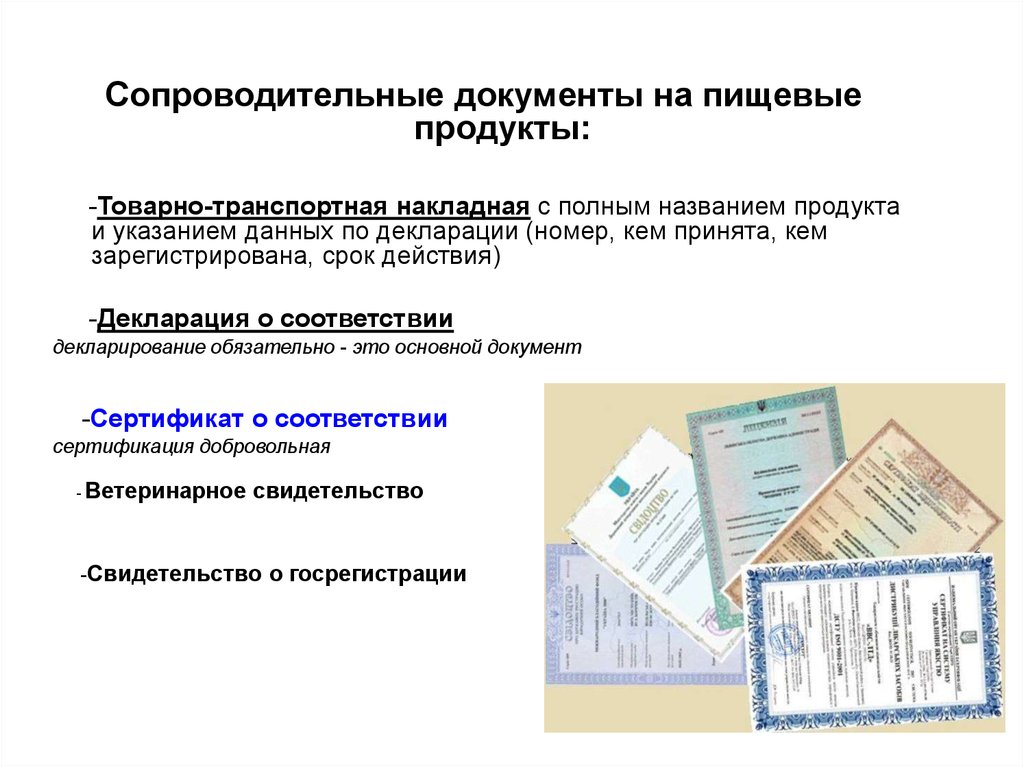 Сопроводительные документы на алкогольную. Сопроводительные документы. Сопроводительные документы пищевых продуктов. Сопроводительные документы при приемке. Сопроводительные документы на продукты.