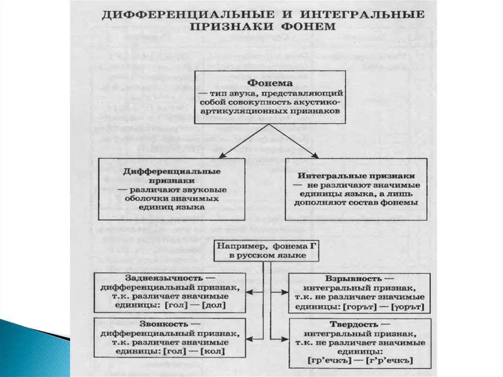 Фонология. Лингвистический аспект изучения звуков - online presentation