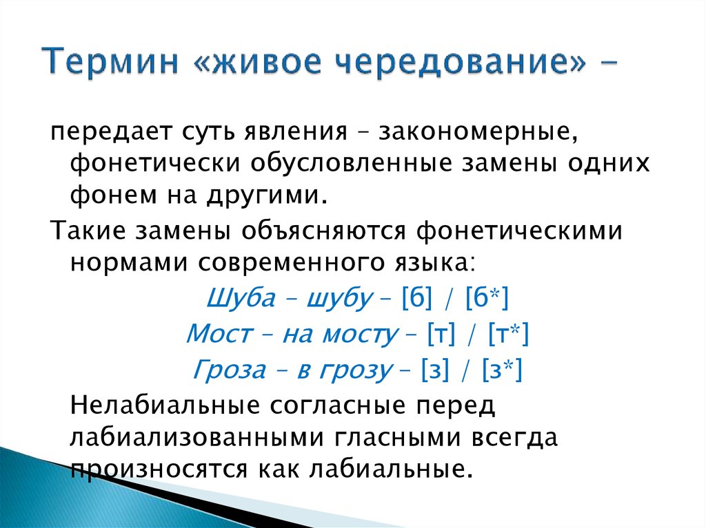 Фонология. Лингвистический аспект изучения звуков - презентация онлайн